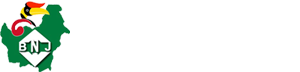 Borneo News Journalist